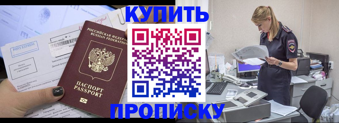 временная регистрация поиск в Луге